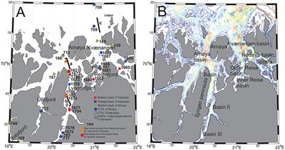 Coincident Mass Occurrence of Gelatinous Zooplankton in Northern Norway